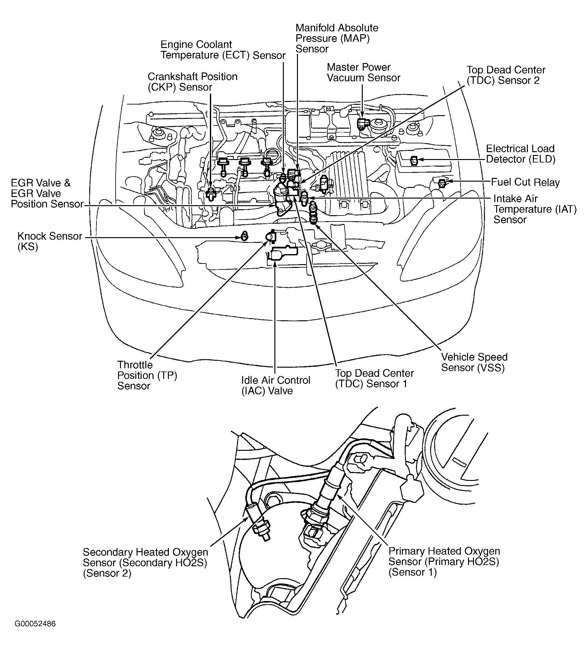 G00052486