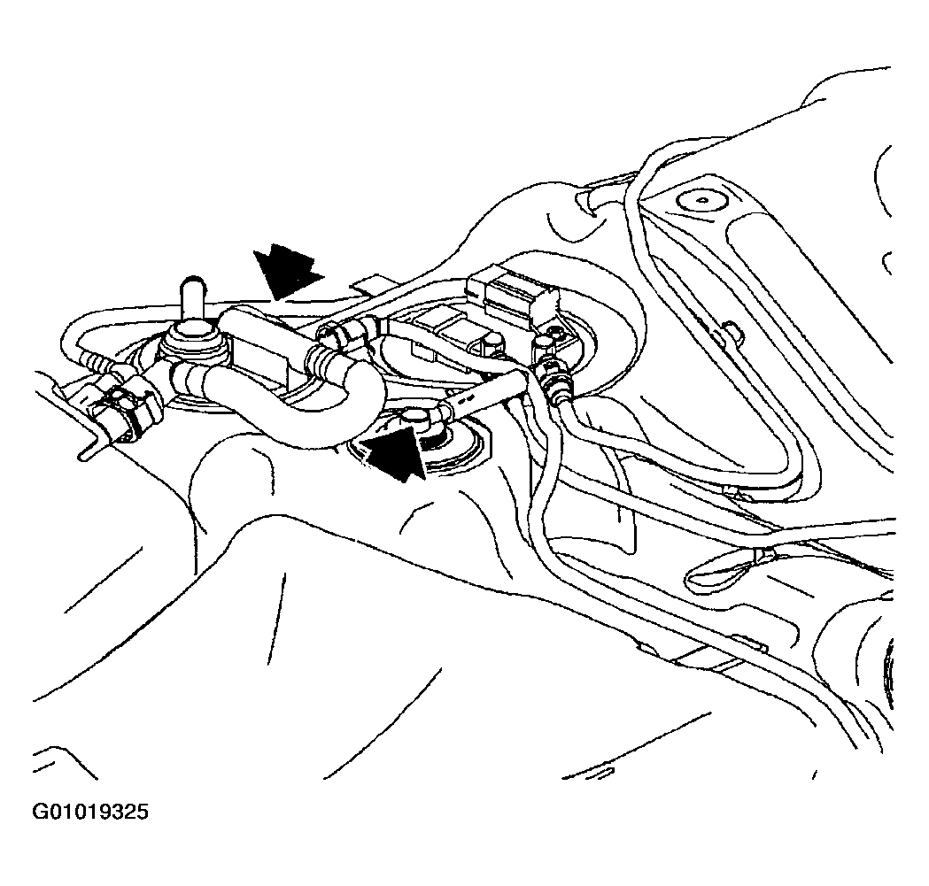 G01019325