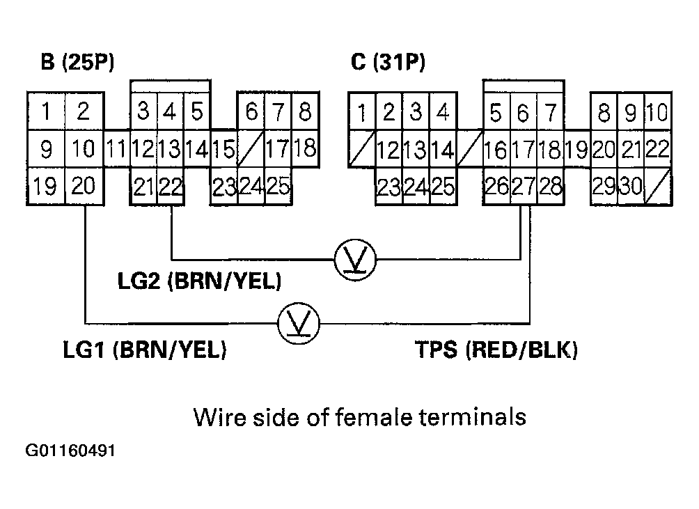 G01160491