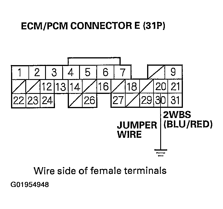 G01954948