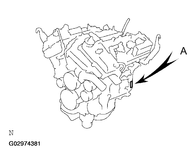 G02974381