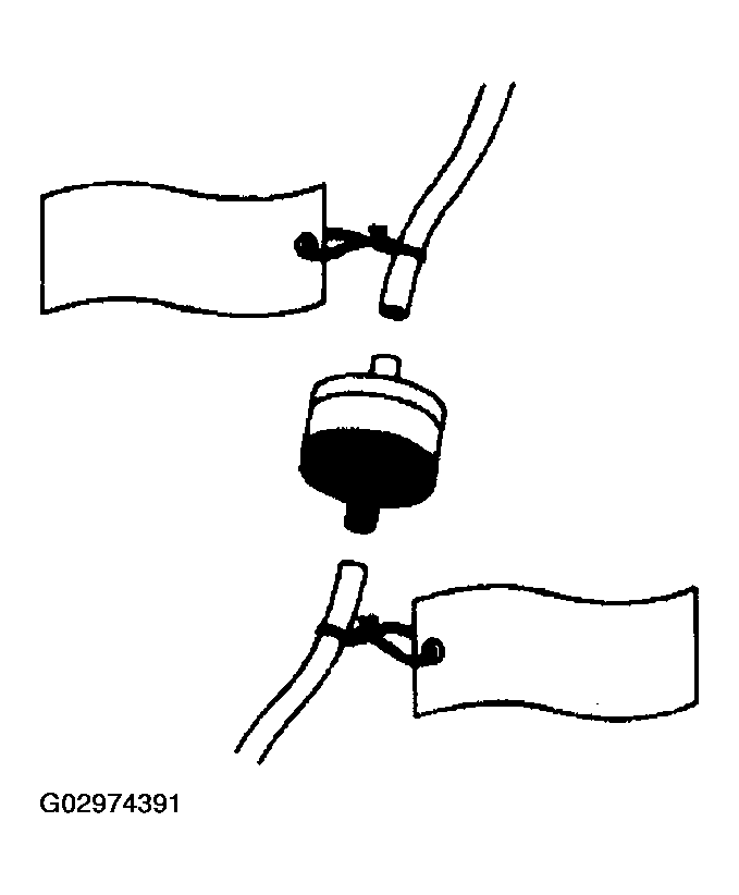 G02974391