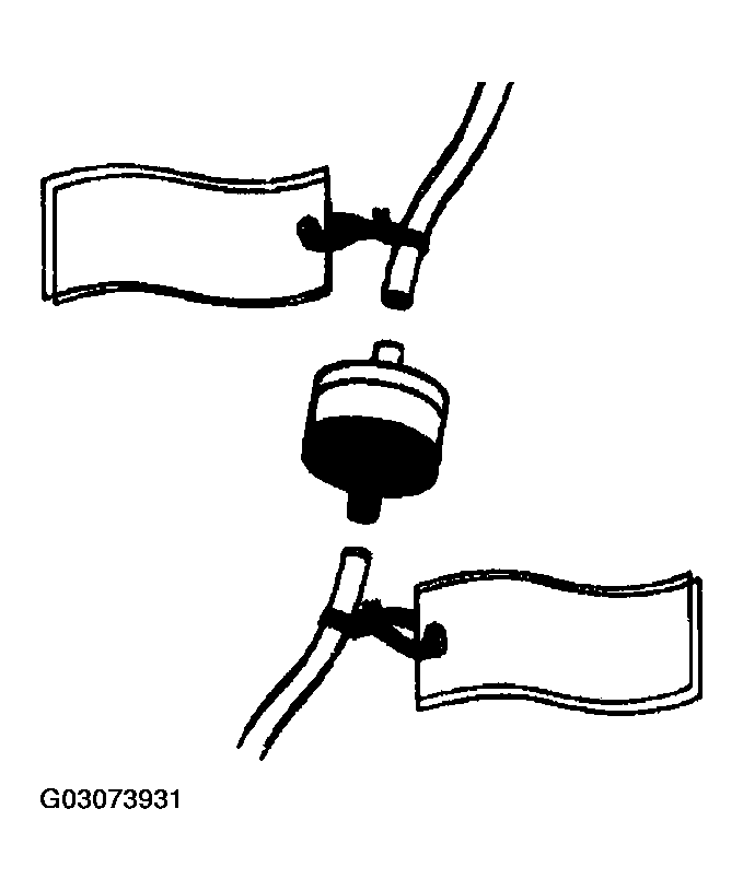 G03073931