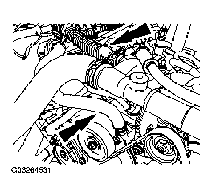 G03264531