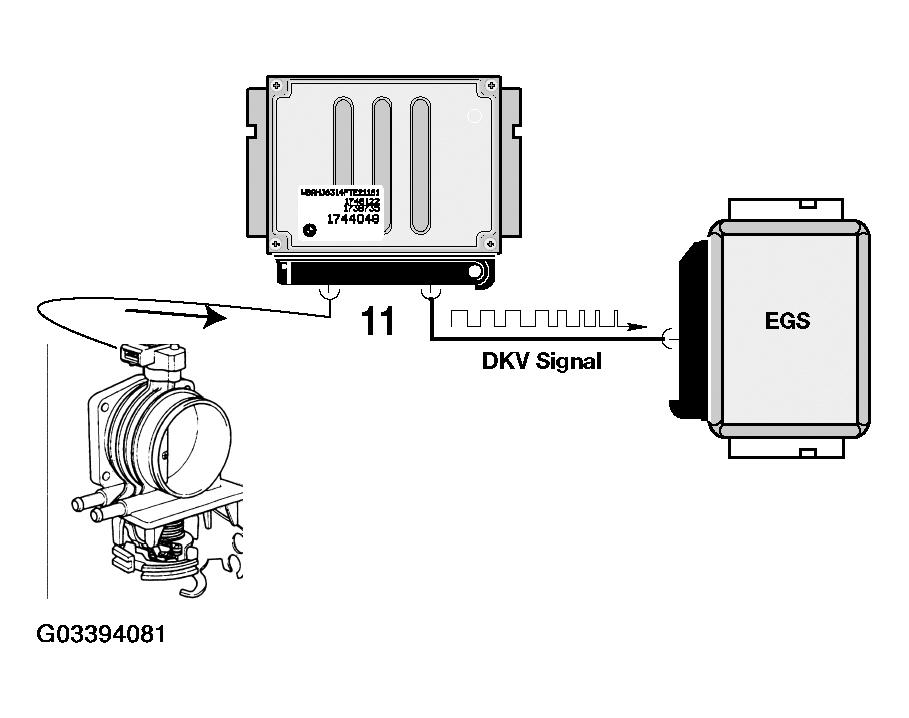 G03394081