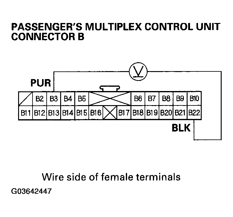 G03642447
