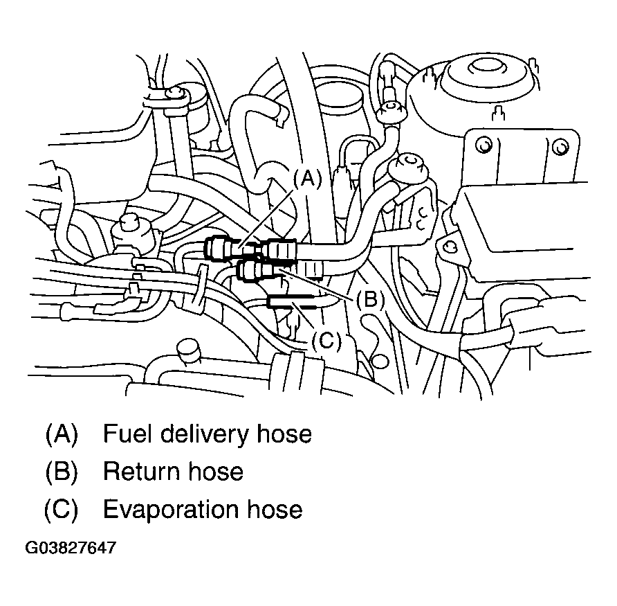 G03827647