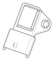 G11784031