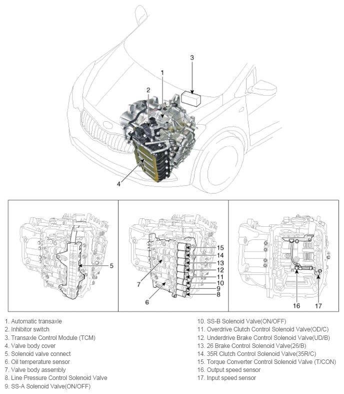 G11794088