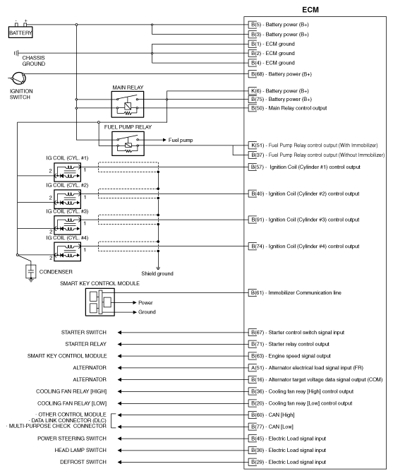 G11950052