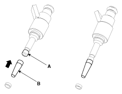 G11955564