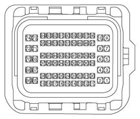 G13044405