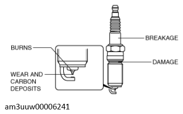 G13113137