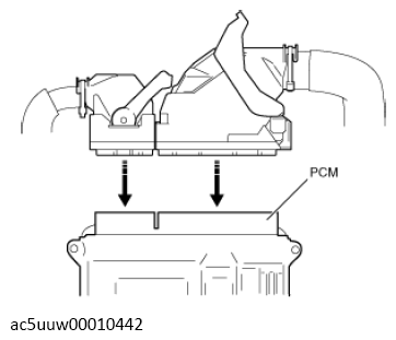 G13119121