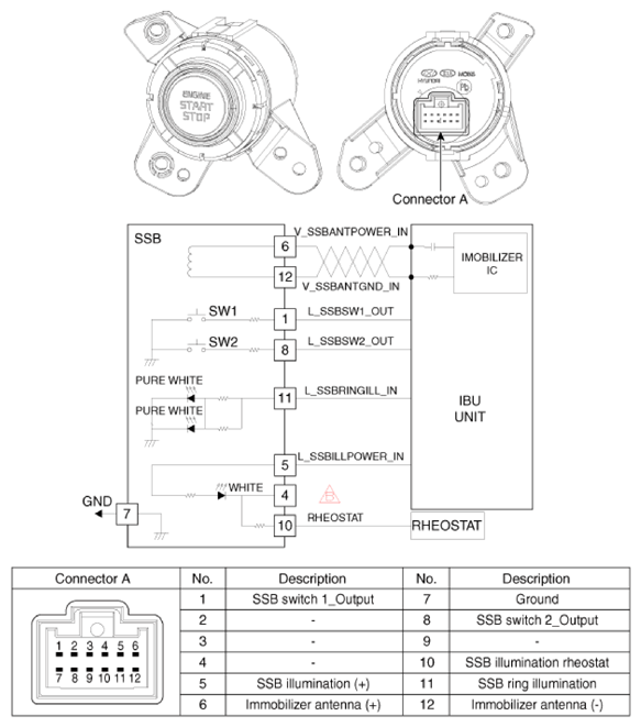 G13128550