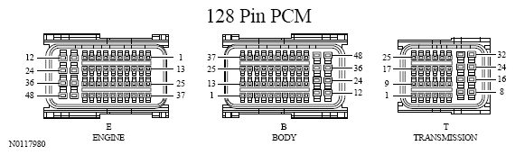 G13533481