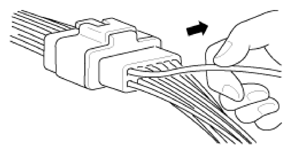 G13543251