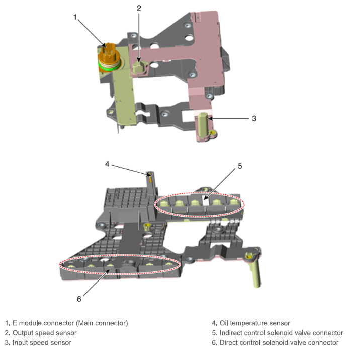 G13543903