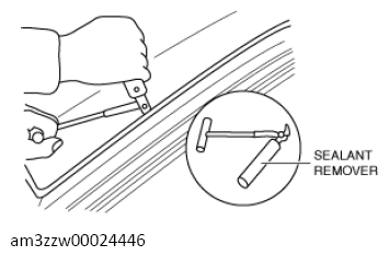 G13560191