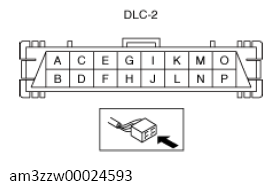 G13561542