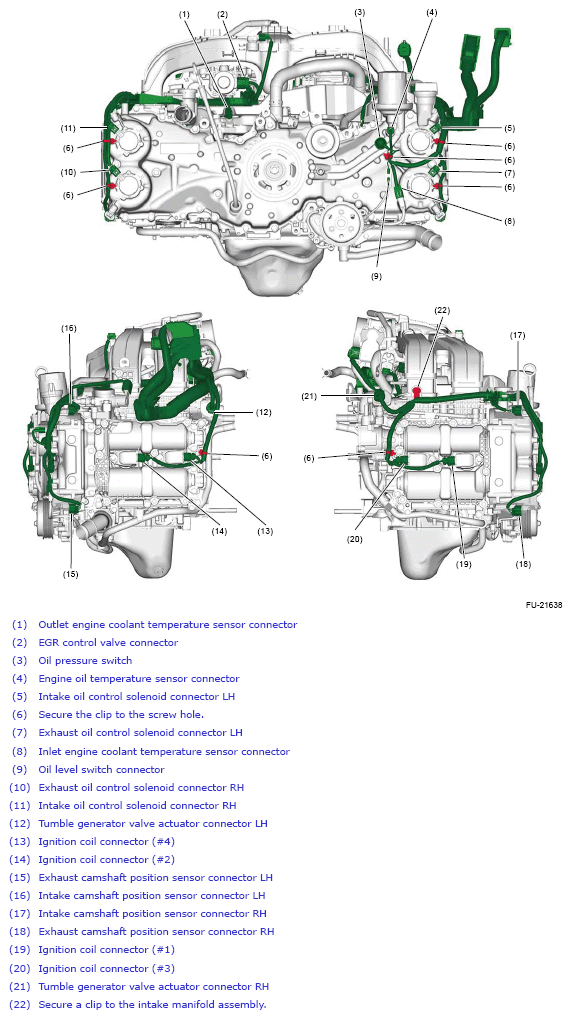 G13875284