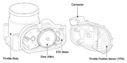 G15547342