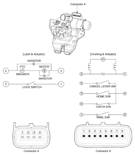 G15554759