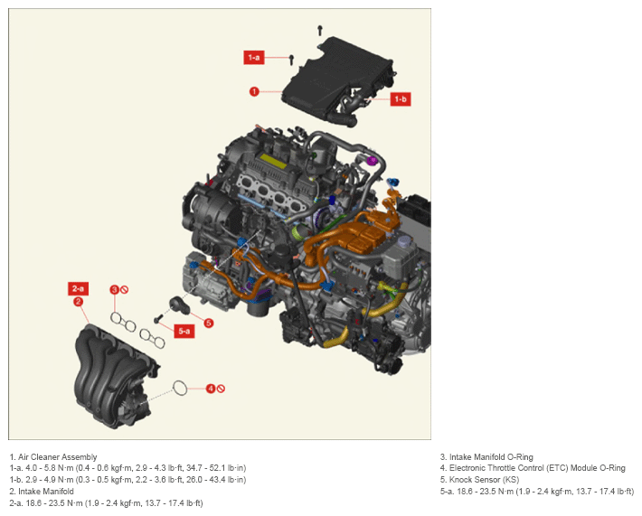 G15787728