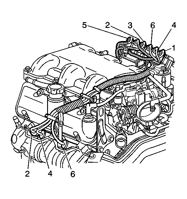 GM211481